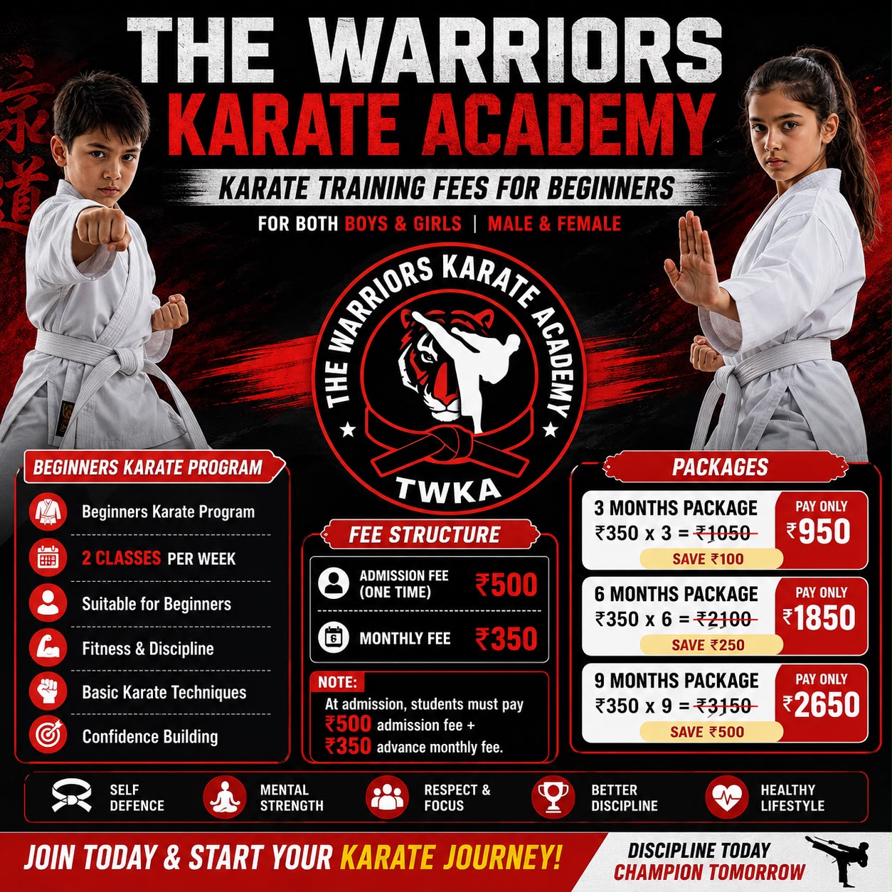 Beginner Karate